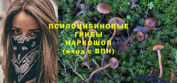 MDMA Заволжск