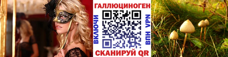дарнет шоп  Назрань  Галлюциногенные грибы прущие грибы 